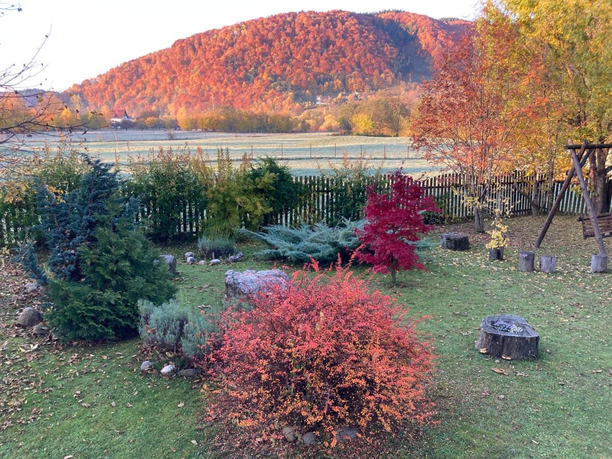 Pensiunea Aron 2 Bran (Brasov) Exterior foto