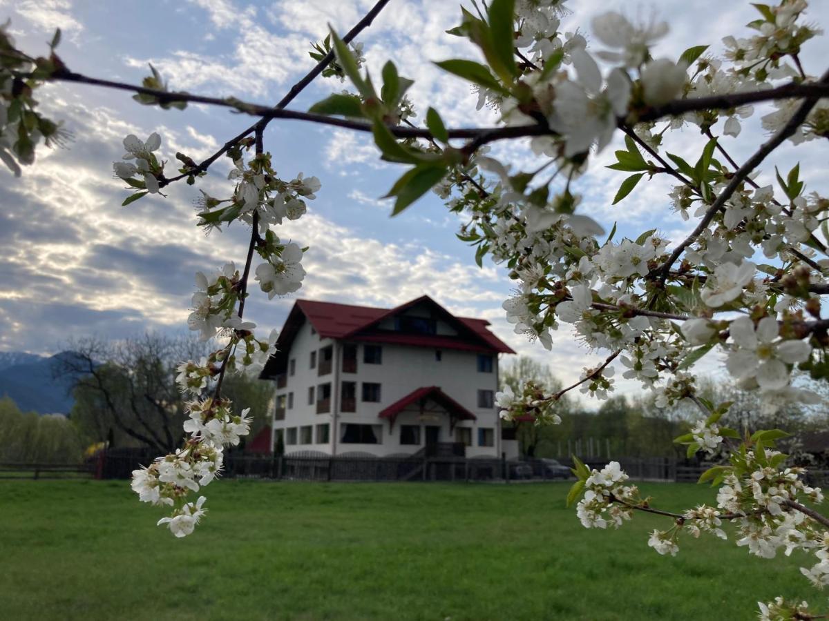 Pensiunea Aron 2 Bran (Brasov) Exterior foto
