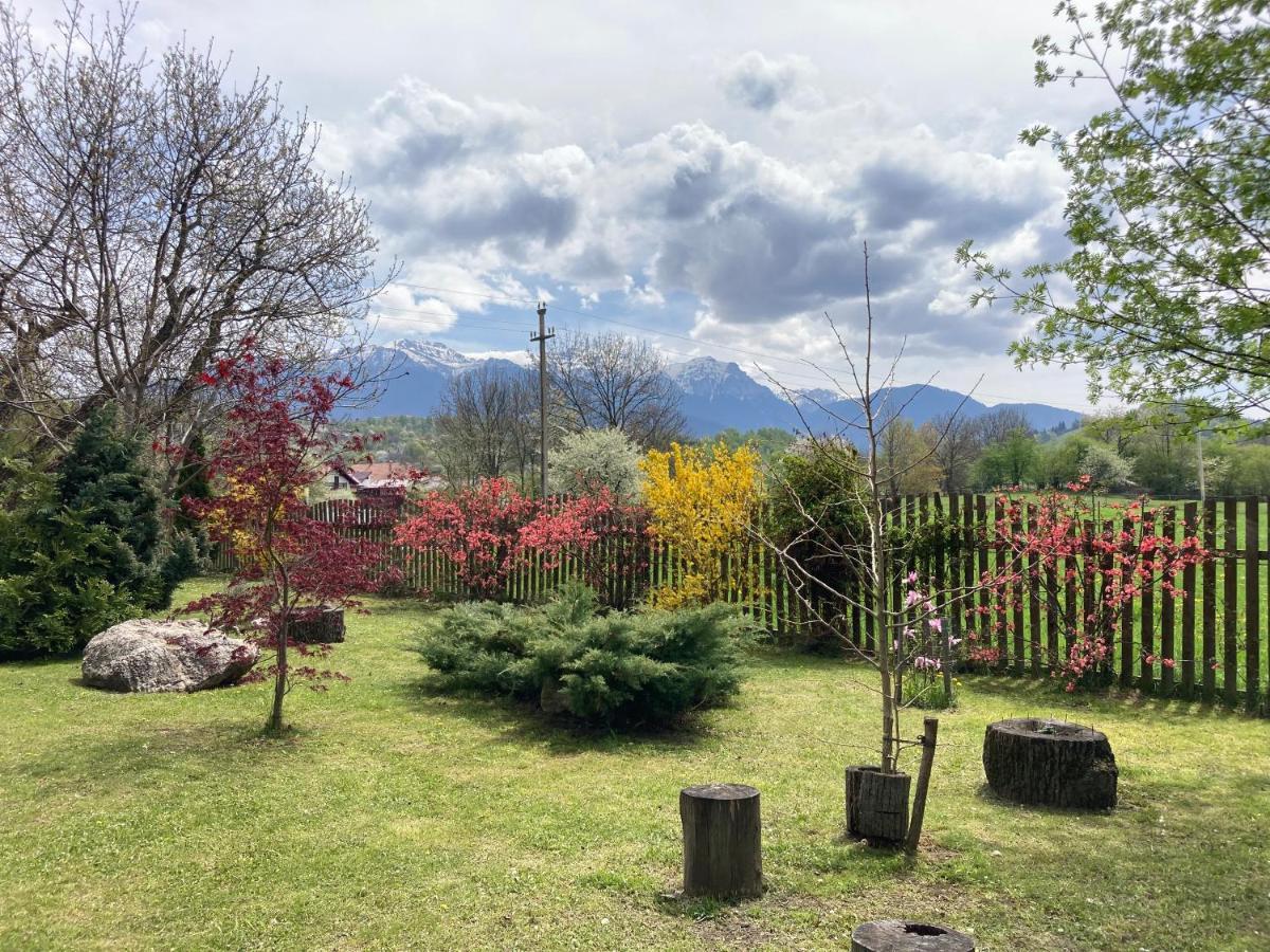 Pensiunea Aron 2 Bran (Brasov) Exterior foto