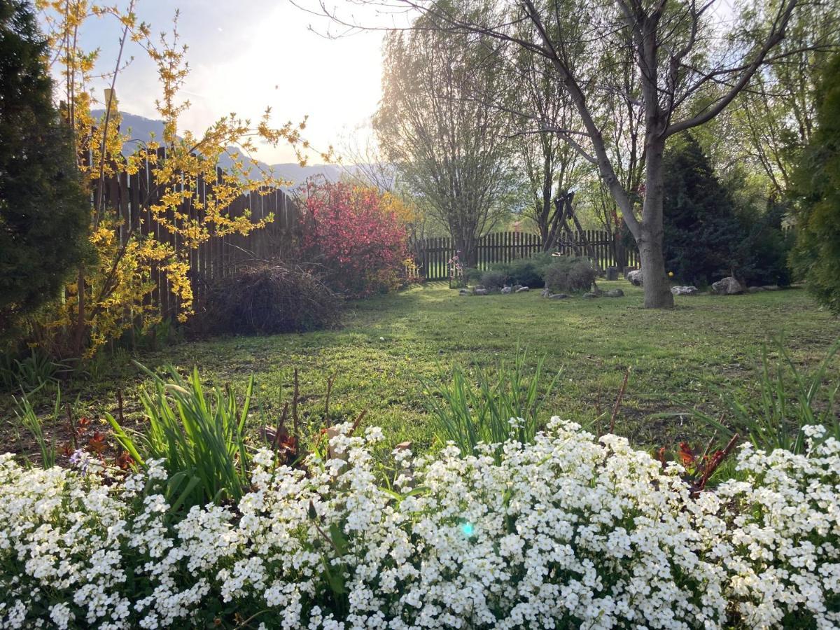 Pensiunea Aron 2 Bran (Brasov) Exterior foto