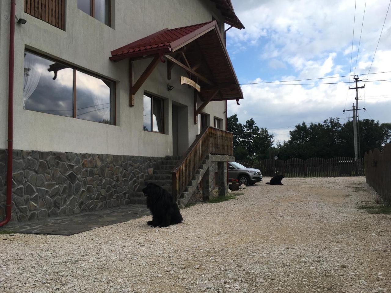 Pensiunea Aron 2 Bran (Brasov) Exterior foto