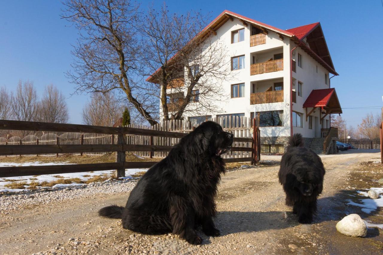 Pensiunea Aron 2 Bran (Brasov) Exterior foto