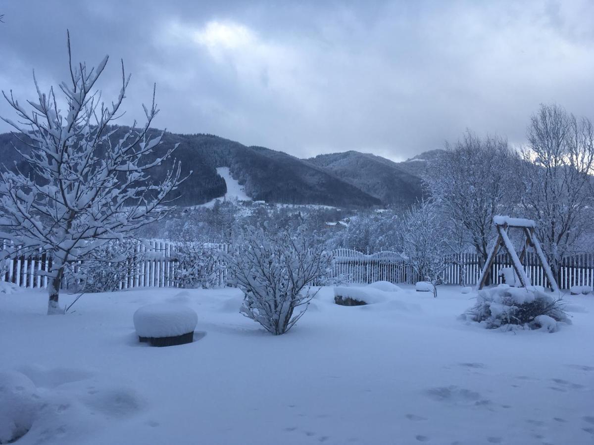 Pensiunea Aron 2 Bran (Brasov) Exterior foto