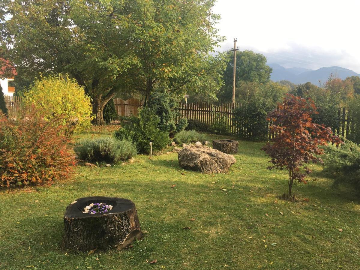 Pensiunea Aron 2 Bran (Brasov) Exterior foto