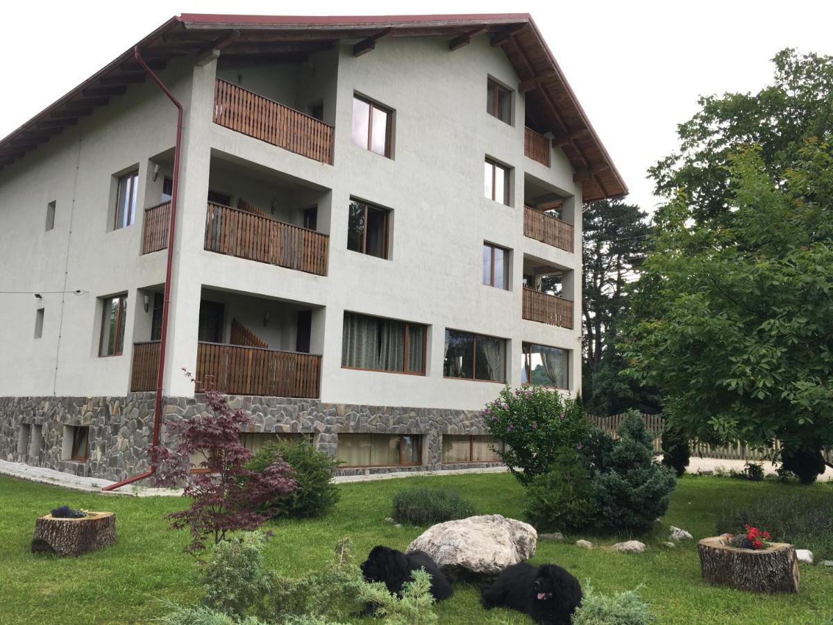 Pensiunea Aron 2 Bran (Brasov) Exterior foto